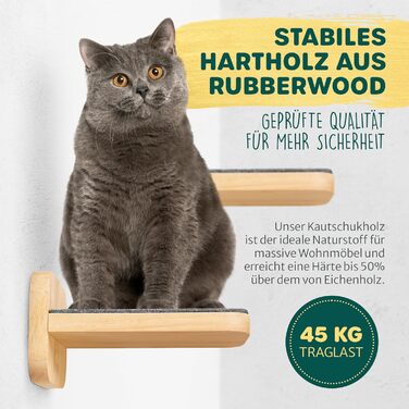 Котяча стінка HAPPYPET із трьох сходинок для монтажу на стіну, натуральне тверде дерево, дизайнерський комплекс для котів, сходи з фетровим покриттям, котяча драбина для активних котів, розмір L 22x24 см