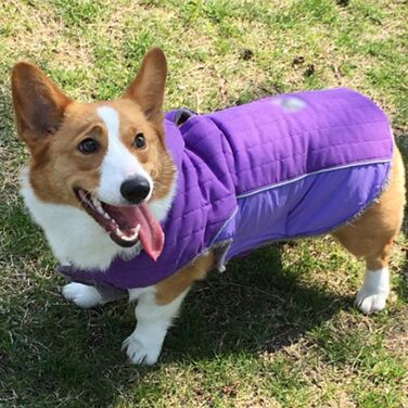 Зимова куртка для собак, теплий пуховик, костюм для собак, повсякденний одяг для тварин, тепла жилетка з капюшоном, L (53-60 см), фіолетовий