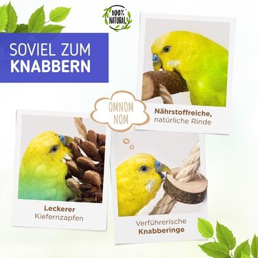 Ігровий майданчик для птахів Vogelgaleria® з натурального дерева | Гойдалка для хвилястих попугаїв | Іграшка для маленьких папуг | Іграшка для корелл | Підвісний ігровий майданчик для хвилястих попугаїв