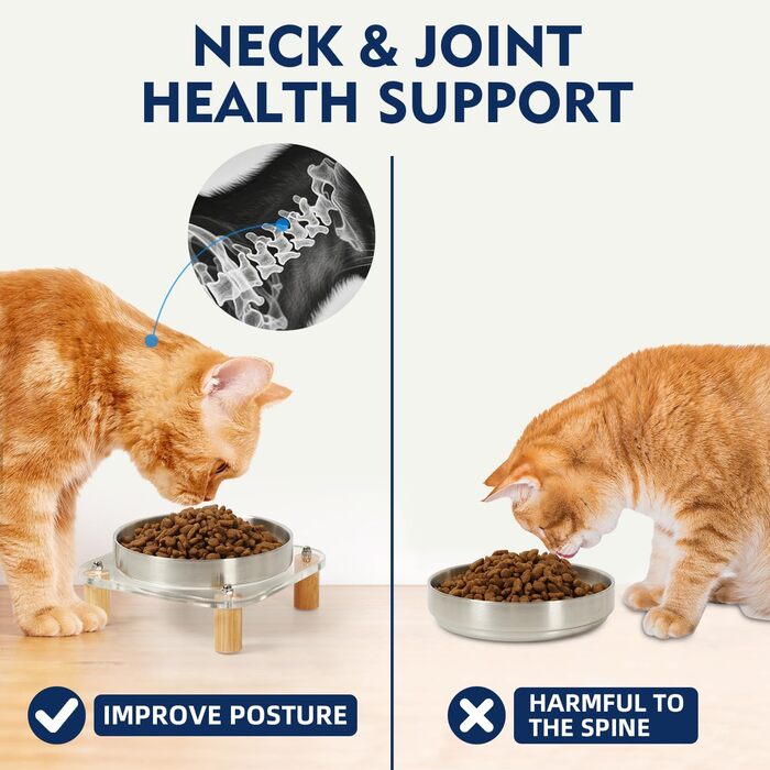 Підвищені миски для котів DoogCat – 2 шт. з акрилу, нержавіюча сталь, 14 см, для дому, зручне годування, для котів з чутливими вусами (сріблясті)