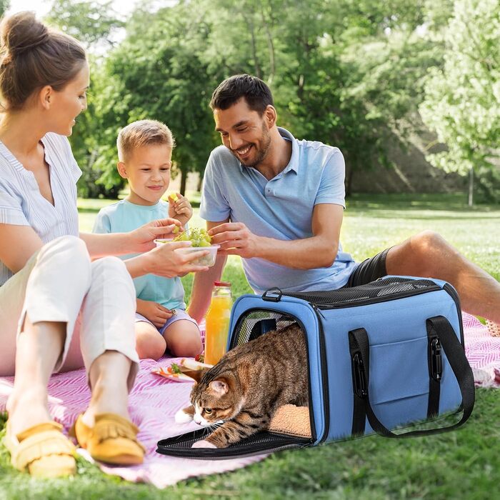 Транспортна сумка для котів і собак Petsfit, автомобільна переноска з 2 кріпленнями для ременя безпеки, складана сумка з подушкою і 4-сітчастими стінками