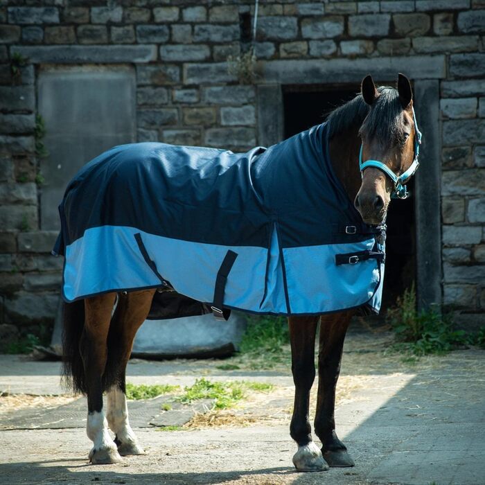 Кінська зимова попона eQuitack, водонепроникна 600D, утеплення 50 г, темно-синя/блакитна, 155 см