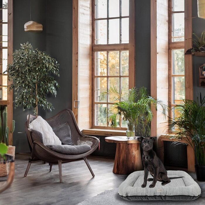 Водонепроникне лежанка для собак, килимок з кодури | Внутрішнє та зовнішнє використання, для маленьких собак | Сірий колір, розмір S: 70 x 50 см