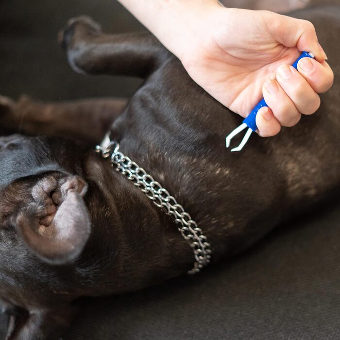 Набір для видалення ковтунів: щітка для собак/котів, XL роликовий збирач ворсу, щипці для видалення кліщів, інструмент для видалення ковтунів для всіх порід, видалення шерсті тварин