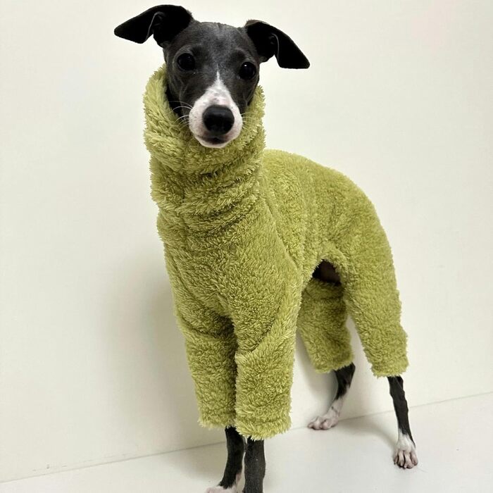 Теплий флісовий комбінезон для собак - теплий спальний костюм, зимовий одяг для італійських грейхаундів, маленьких, середніх та великих собак (2.3 кг, Зелений)