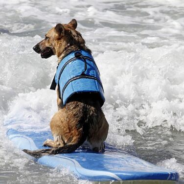 Спасальний жилет для собак - блакитний з кісточками, розмір M - безпечний жилет для собак, цуценят та великих собак