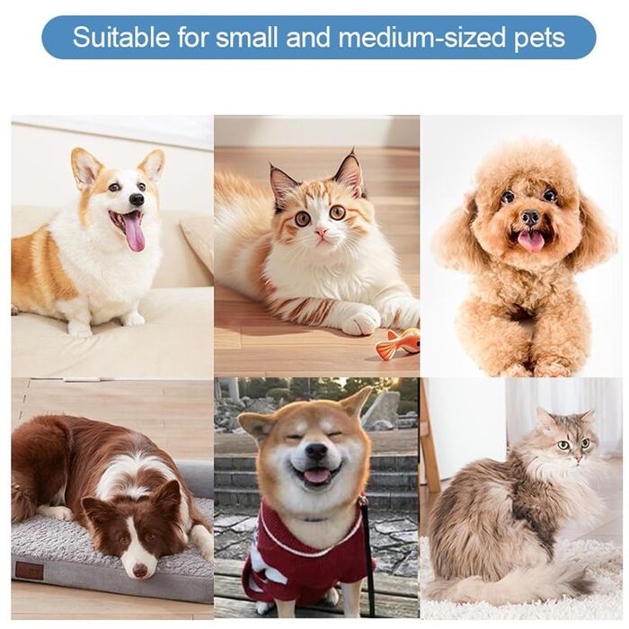 Автоматичний мийка лап для собак, блакитна – без розбризкування, 2 швидкості, для дому, подорожей, відпочинку на природі