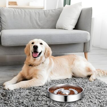 Миска для собак зі нержавіючої сталі, Slow Feeder, Ø 21 см, антислизька, для уповільненого годування, запобігає ковтання, проти запор, для собак, кольорова миска (Колір 2)