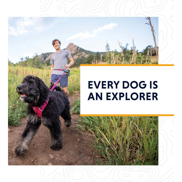 Шлея для собак RUFFWEAR Front Range, світловідбиваюча, з м'якою підкладкою, проти ривків, синя, розмір XS