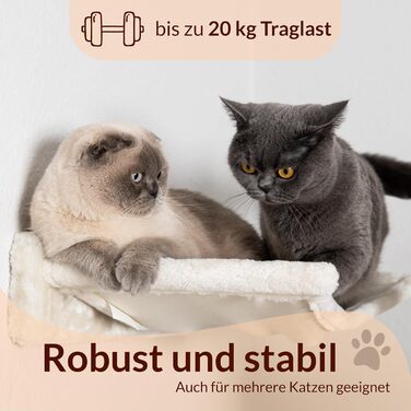 Meoville® настінний комплекс для котів XXL, 4 предмети, масив дерева, суперміцний: гамак, лежак, 2 сходинки, настінний драпак, бежева стінка для котів