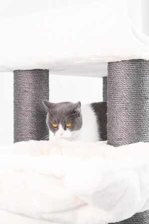 Дряпак для котів Petrebels Maine Coon XXL, 190 см, дизайн для великих котів, сизаль, колір Off-White