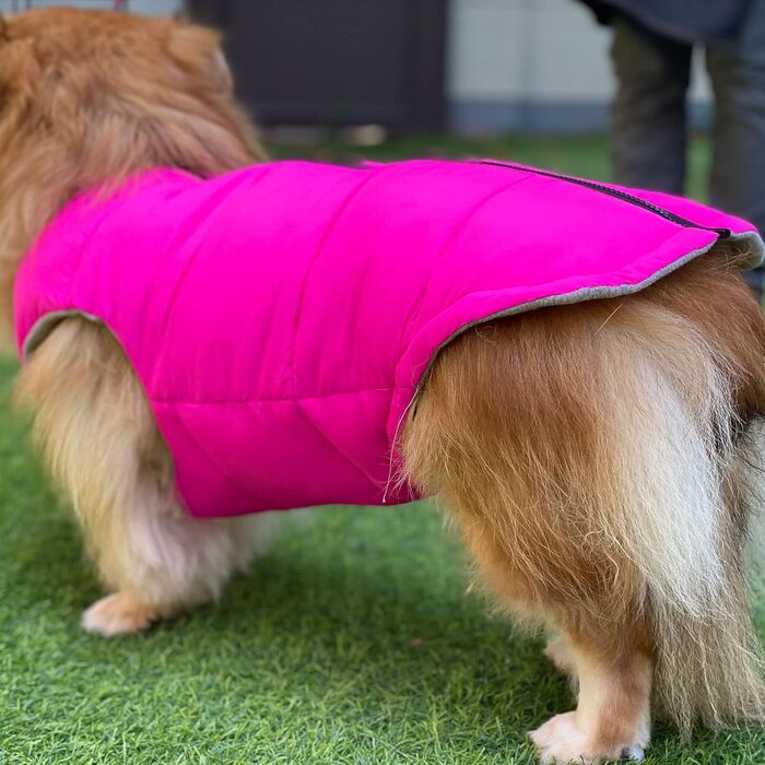 Зимова куртка для собак, водонепроникна, вітронепроникна, тепла флісова куртка з блискавкою для малих, середніх та великих собак, зелена, розмір L