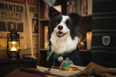 Костюм для собак та котів з окулярами та краваткою, косплей, Slytherin, розмір M