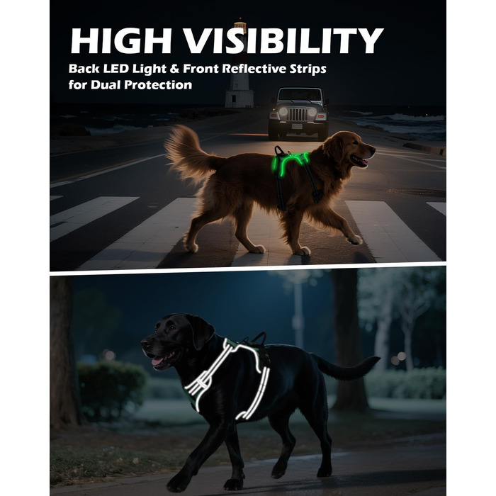 Світловідбиваючий нашийник для собак Joytale з LED, для середніх собак, без натягування, з ручкою, регульований, для нічних прогулянок, зелений, розмір M (1 шт.)