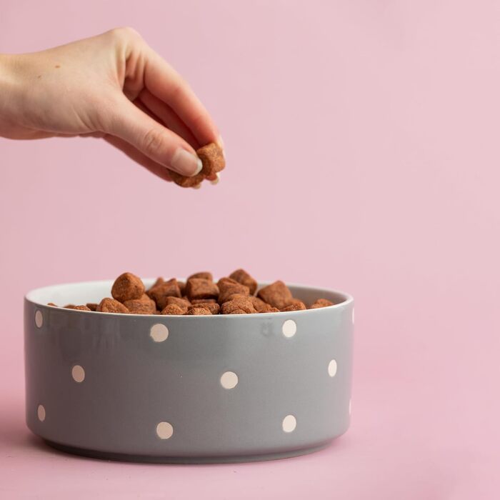 Миска для собак Mason Cash, з рельєфним декором, 18 см, сіра (1 шт.)