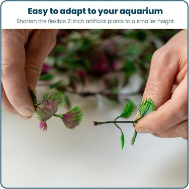 Декорації для акваріума Aquabetta: великі пластикові рослини, штучні риби, аксолотлі та черепахи. Реалістичні декорації для акваріума