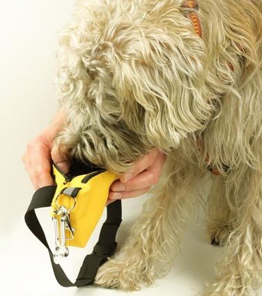 Сумка для корму та ласощів Long Black Edition - тренувальна сумка для собак