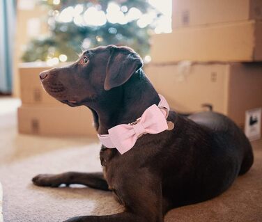 Нашийник для собак DOGWONG знімною метеликом, білий. Комфортний, регульований нашийник для собак маленьких та середніх порід. Чудовий подарунок для дівчаток та хлопчиків. (Medium, 1 шт., світло-рожевий)