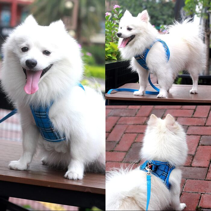 Нашийник для собак маленьких порід з повідком, анти-тягнучий, світловідбиваючий, дихаючий, нагрудник для цуценят (S, обхват грудей: 29-33см) (Синій в клітинку, XL (обхват грудей: 46-53см, вага: 8-10.5кг))