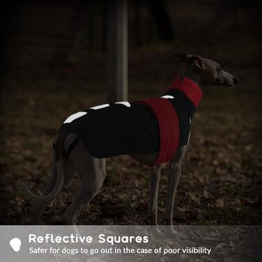 Зимовий теплий дощовик для собак Віндхунд (Whippet) - червоний, з відбиваючими смугами