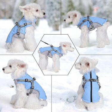 Водонепроникна зимова куртка Poseca Hundemante для собак, великих та малих розмірів (XL, блакитний)