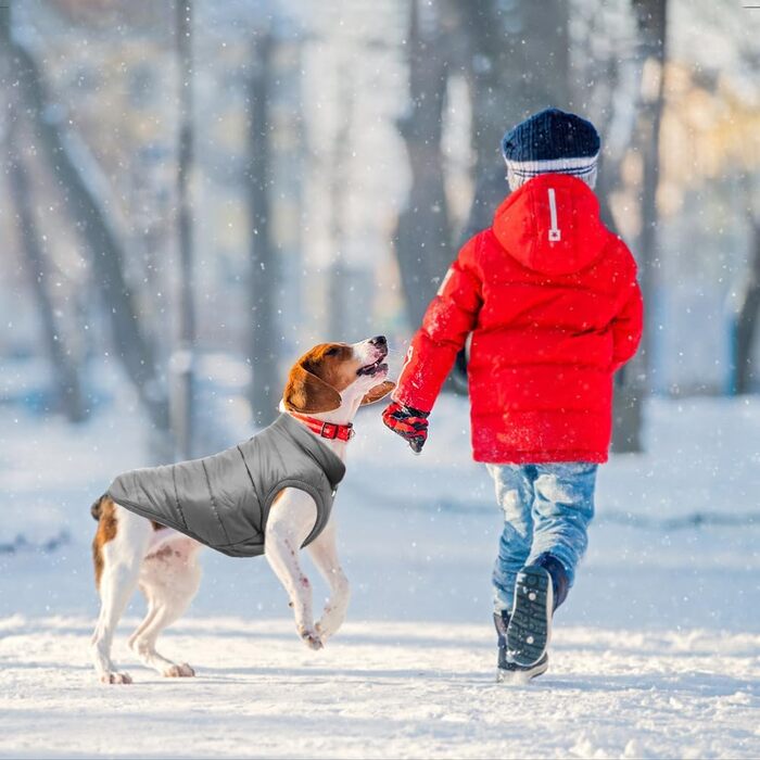 Зимовий одяг для собак Meioro: тепла куртка, жилет з флісу, зручний пуловер для маленьких та середніх собак (Сірий, S)