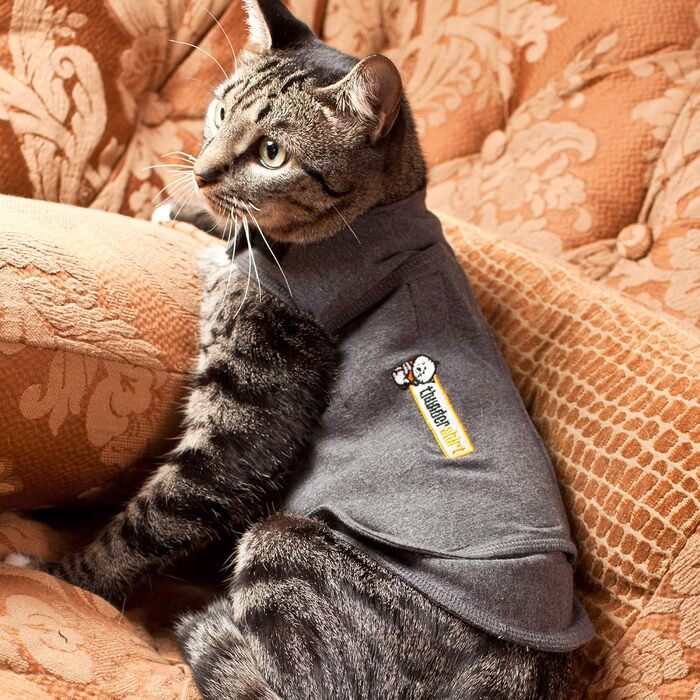 Антистресова жилетка Thundershirt для котів, розмір M, сіра