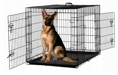 Клітка зі сталі з порошковим покриттям Ender для великих порід собак, 76 x 120 x 82 см