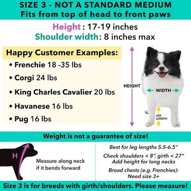 Костюм на Хелловін для собак та котів, панда, розмір 4 (50,8–58,4 см висота, обхват < 68,6 см)