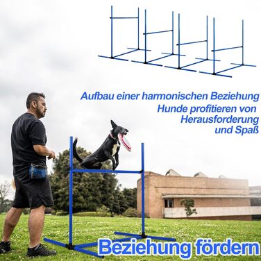 Набір для аджиліті для собак ORHEYA: 4 переносні бар'єри, регульована висота, 104x70x101 см, білий (блакитний)