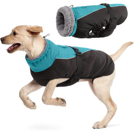 колір: хімблау