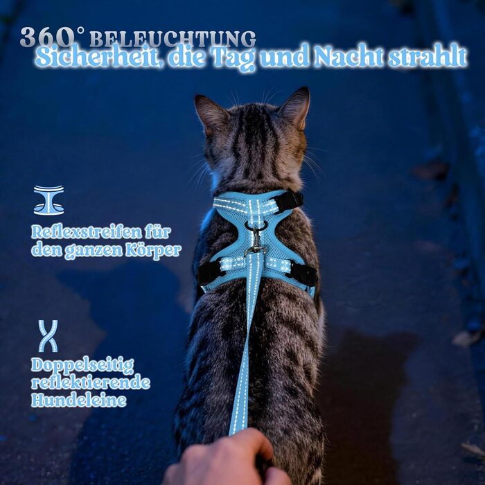 Шлейка для котів rabbitgoo з повідцем, анти-втеча, м'яка, зручна, світловідбиваюча, чорна (S, блакитна)