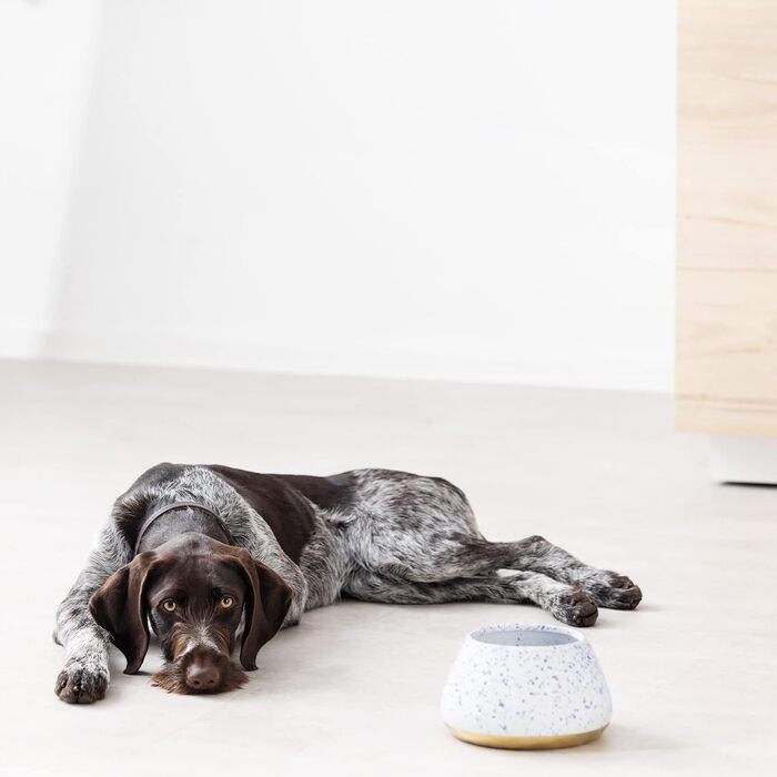 Навіс для собак Navaris Design з кераміки - велика миска для корму - годівниця для собак - миска для кокер-спанієля та довговухих собак - миска для собак біло-блакитно-жовтого кольору