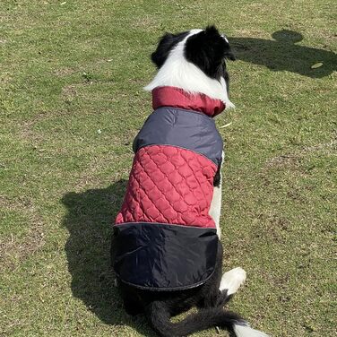 Водонепроникний зимовий теплий одяг для собак - зимовий теплий одяг для маленьких та середніх собак (коричневий, червоний, XXL)