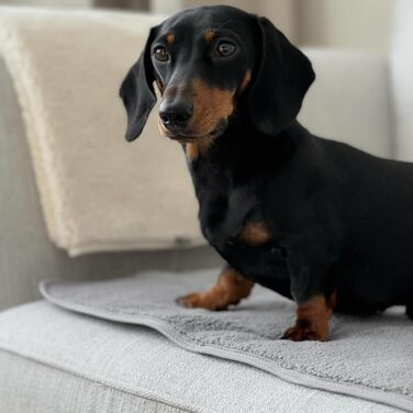 Водонепроникна лежанка для собак, флісова, розмір L, 104 x 69 см, для дивана, кімнати, авто, подорожей, сіра