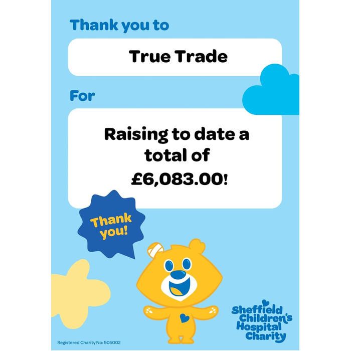 Набори мисок для котів VORX з нержавіючої сталі з антиковзким гумовим дном, 15 см, 3 шт.