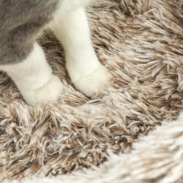 PawHut Котяче дерево висотою 87 см Котяче дерево з ліжком, товстий стовбур, Кігтеточка для кішки з сизалевими кігтеточками, для кішок до 6 кг, Indoor, Brown | Аосом