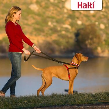 Шлея-комбінація Halti Front Control для собак, тренувальна повідок, розмір M, чорна, Company of Animals