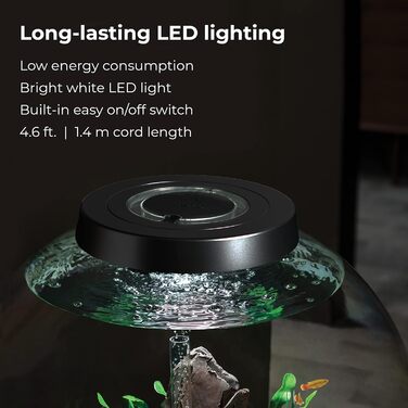 Акваріум biOrb CLASSIC 60 LED чорний, комплект з фільтром, LED-підсвіткою та керамічним ґрунтом, акрилове скло, 60 л