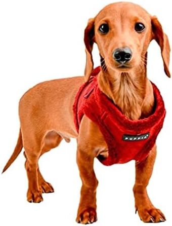 Шлея Puppia Terry Harness B для малих і середніх собак, регульована, комфортна