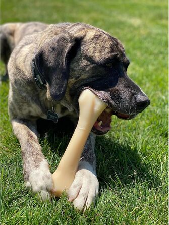 Nylabone Extreme іграшка-кістка для собак, для агресивних та сильних жуваків, зі смаком курки, для дуже великих собак понад 23 кг