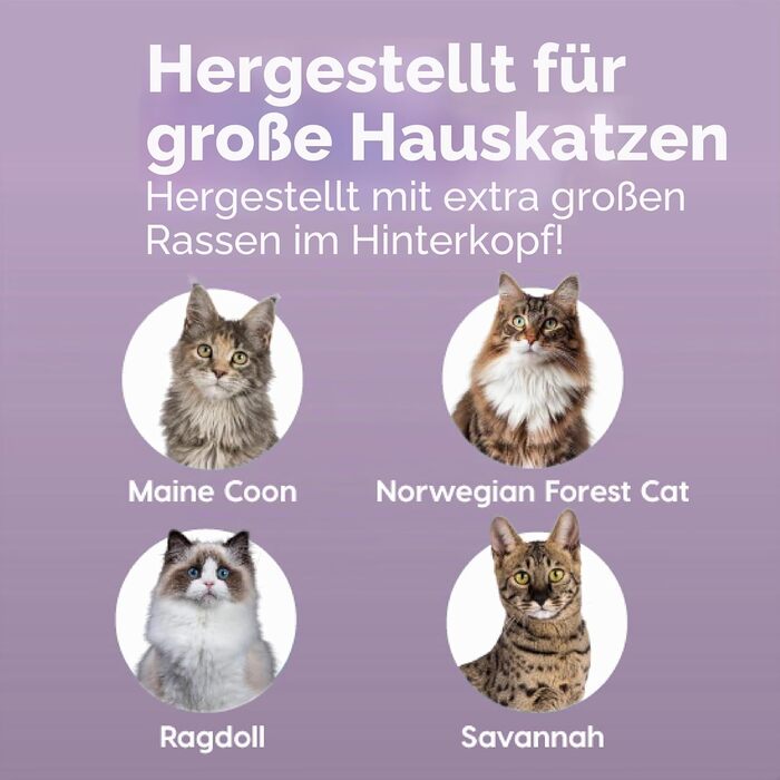Лоток для котів Iris Ohyama XXL сірий з високими бортиками для великих порід (Maine Coon) та двох котів, знімні борти, захист від розсипання, BPA-free