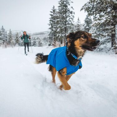 Собачий нашийник RUFFWEAR Top Rope, середній розмір, міцний і зручний, для прогулянок, базальтово-сірий, M (36–51 см)