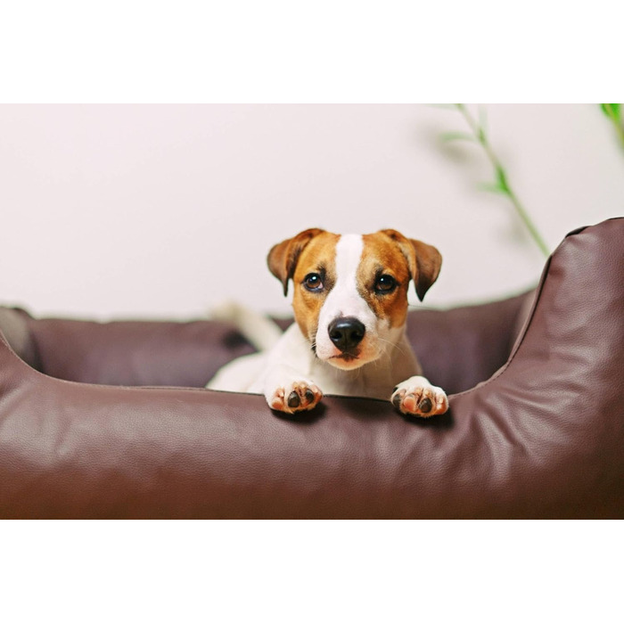Водонепроникне ліжко для собак 4L Textil Mario з штучної шкіри, корзина для собак, ліжко для великих і середніх собак, собаче ліжко XXL (120x90 см, Коричневе)