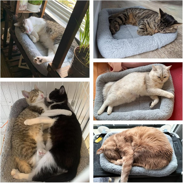 Крісло-лежанка для котів та собак PETLESO - м'яке, з антиковзною основою, 56x41 см