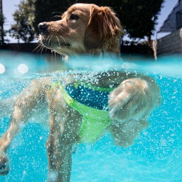 Рятувальний жилет для собак Outward Hound Standley Sport, зелений, XS, водонепроникний