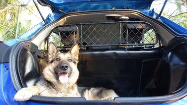 Сітка розділення для Kia Sportage (з 2022), RDA65-XS8 – для собак та багажу