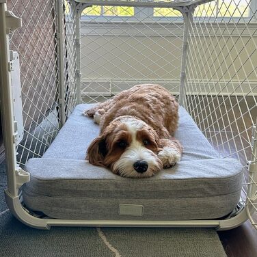 Лежанка для собак Diggs Bolstr, сіра, з водонепроникним покриттям та зручною підголівником (M)