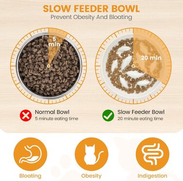 Миска для котів Happy Hachi з підняттям, керамічна, для повільного годування, протиковзаюча, для котів та маленьких собак (зелена)