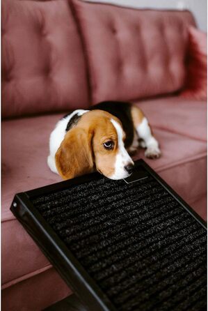 Рампа для собак і котів, пандус для собак, регульована авторампа з дерева, чорного кольору